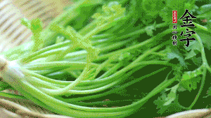 挑選鮮嫩的香菜，洗干凈后，處理成小段。